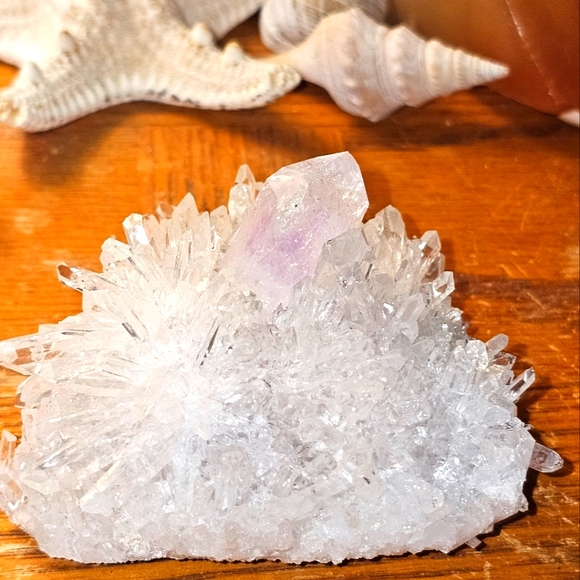 chrysanthemum amethyst cluster - Picture 3 of 9